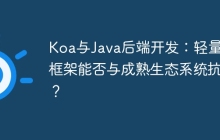 Koa与Java后端开发：轻量级框架能否与成熟生态系统抗衡？