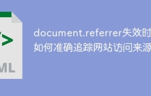 document.referrer失效时，如何准确追踪网站访问来源？