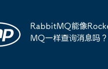 RabbitMQ能像RocketMQ一样查询消息吗？