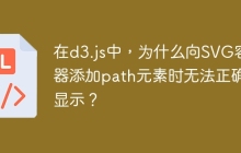 在d3.js中，为什么向SVG容器添加path元素时无法正确显示？