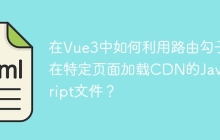 在Vue3中如何利用路由勾子在特定页面加载CDN的JavaScript文件？