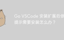 Go VSCode 安装扩展后依然提示需要安装怎么办？