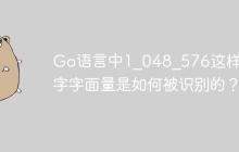 Go语言中1_048_576这样的数字字面量是如何被识别的？