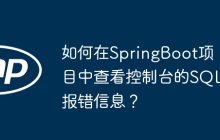 如何在SpringBoot项目中查看控制台的SQL报错信息？