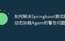 如何解决Springboot测试时动态加载Agent的警告问题？