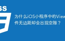 为什么iOS小程序中的View组件无边距却会出现空隙？