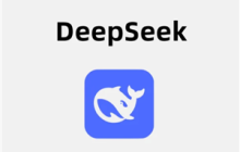 deepSeek在线服务会导致数据泄露吗 deepSeek在线使用与api使用区别