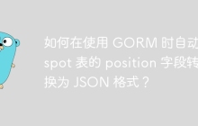 如何在使用 GORM 时自动将 spot 表的 position 字段转换为 JSON 格式？