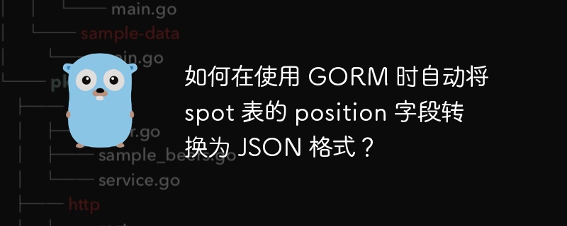 如何在使用 gorm 时自动将 spot 表的 position 字段转换为 json 格式？