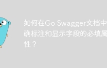 如何在Go Swagger文档中正确标注和显示字段的必填属性？
