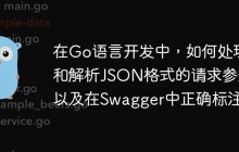 在Go语言开发中，如何处理和解析JSON格式的请求参数以及在Swagger中正确标注？