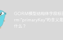 GORM模型结构体字段标签gorm:"primaryKey"的含义是什么？