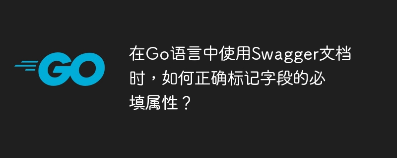 在go语言中使用swagger文档时，如何正确标记字段的必填属性？