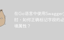 在Go语言中使用Swagger文档时，如何正确标记字段的必填属性？