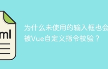为什么未使用的输入框也会被Vue自定义指令校验？