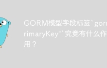 GORM模型字段标签`gorm:"primaryKey"`究竟有什么作用？