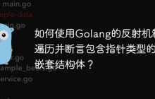 如何使用Golang的反射机制遍历并断言包含指针类型的嵌套结构体？
