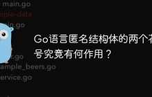 Go语言匿名结构体的两个花括号究竟有何作用？