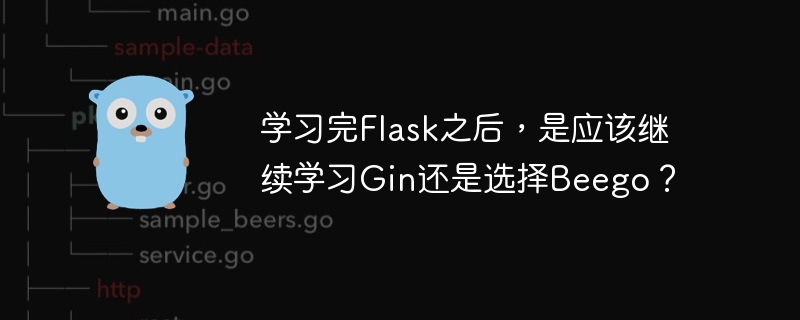 学习完Flask之后，是应该继续学习Gin还是选择Beego？-小浪学习网