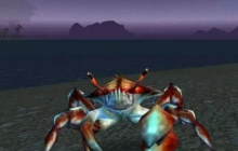 《魔兽世界》wlk猎人职业任务驯服海浪蟹攻略