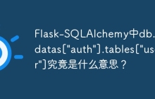 Flask-SQLAlchemy中db.metadatas["auth"].tables["user"]究竟是什么意思？