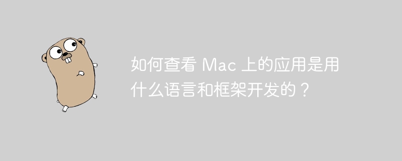 如何查看 Mac 上的应用是用什么语言和框架开发的?