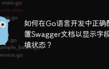 如何在Go语言开发中正确配置Swagger文档以显示字段必填状态？