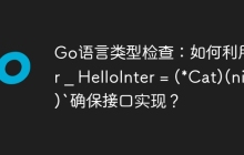 Go语言类型检查：如何利用`var _ HelloInter = (*Cat)(nil)`确保接口实现？