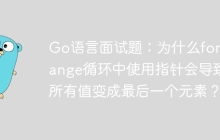 Go语言面试题：为什么for range循环中使用指针会导致所有值变成最后一个元素？