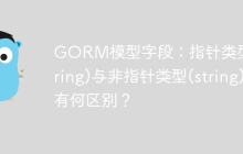 GORM模型字段：指针类型(*string)与非指针类型(string)有何区别？