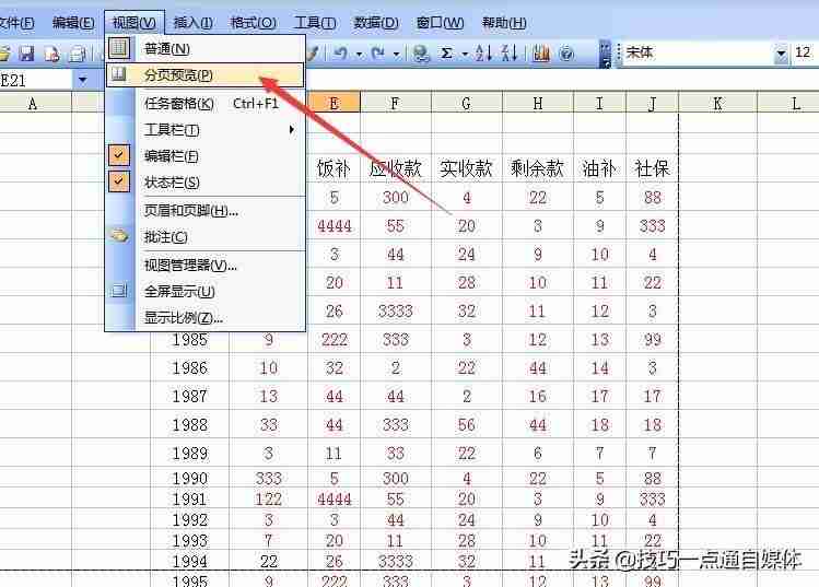 Excel分页功能使用技巧，让你的表格更清晰！