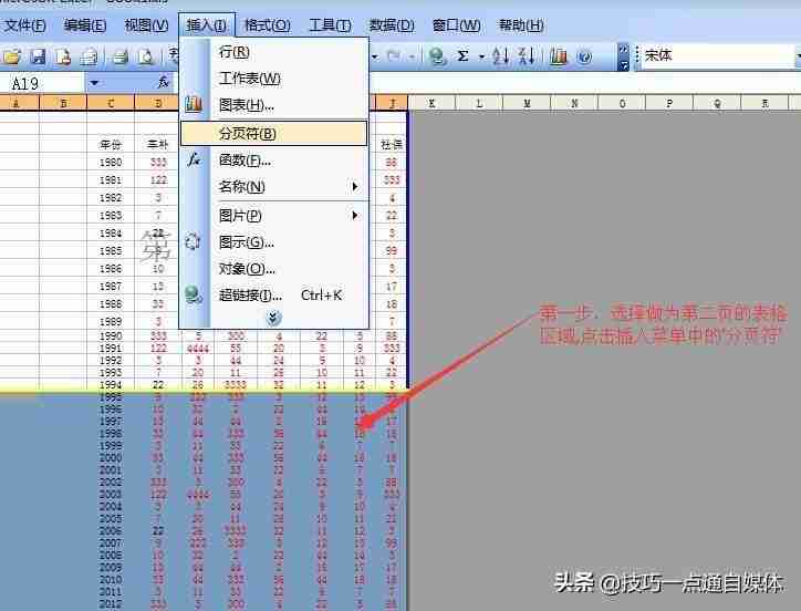 Excel分页功能使用技巧，让你的表格更清晰！