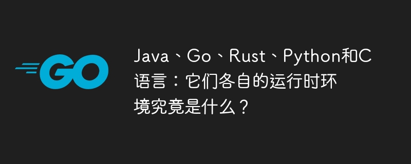 Java、Go、Rust、Python和C語言：它們各自的運行時環境究竟是什么？-小浪學習網