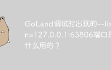 GoLand调试时出现的--listen=127.0.0.1:63806端口是做什么用的？