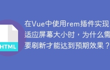 在Vue中使用rem插件实现自适应屏幕大小时，为什么需要刷新才能达到预期效果？