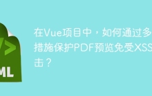 在Vue项目中，如何通过多种措施保护PDF预览免受XSS攻击？