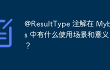 @ResultType 注解在 Mybatis 中有什么使用场景和意义？