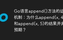 Go语言append()方法的运行机制：为什么append(x, 4)和append(x, 5)的结果并非预期？