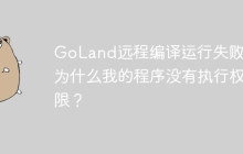 GoLand远程编译运行失败：为什么我的程序没有执行权限？