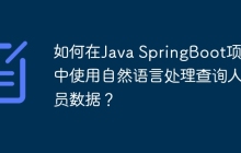 如何在Java SpringBoot项目中使用自然语言处理查询人员数据？
