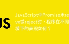 JavaScript中Promise未resolve或reject时，程序在不同环境下的表现如何？