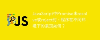 JavaScript中Promise未resolve或reject时，程序在不同环境下的表现如何？