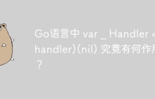 Go语言中 var _ Handler = (*handler)(nil) 究竟有何作用？