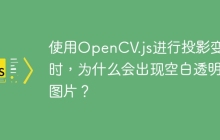 使用OpenCV.js进行投影变换时，为什么会出现空白透明图片？
