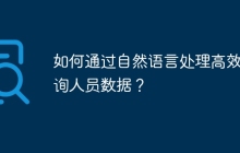如何通过自然语言处理高效查询人员数据？
