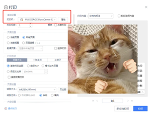 WPSOffice无法启动打印作业是什么原因 WPSOffice无法启动打印作业怎么解决