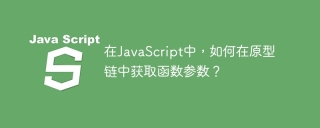 在JavaScript中，如何在原型链中获取函数参数？