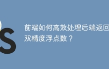 前端如何高效处理后端返回的双精度浮点数？