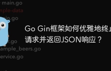 Go Gin框架如何优雅地终止请求并返回JSON响应？