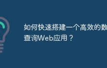 如何快速搭建一个高效的数据查询Web应用？